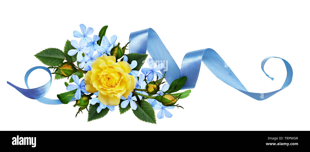 Gelbe Rosen und blauen kleinen Blüten mit seidenband in einem Blumenarrangement auf weißem Hintergrund. Flach, Ansicht von oben. Stockfoto