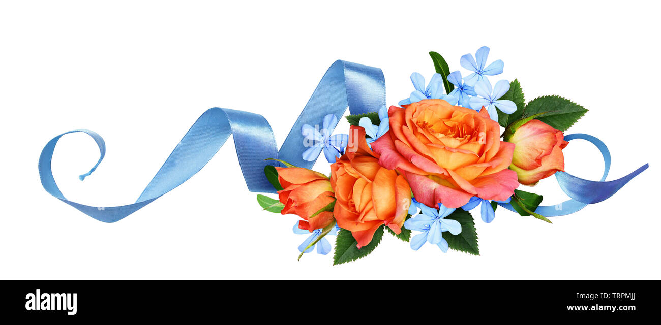 Orange Rosen und blauen kleinen Blüten mit seidenband in einem Blumenarrangement auf weißem Hintergrund. Flach, Ansicht von oben. Stockfoto