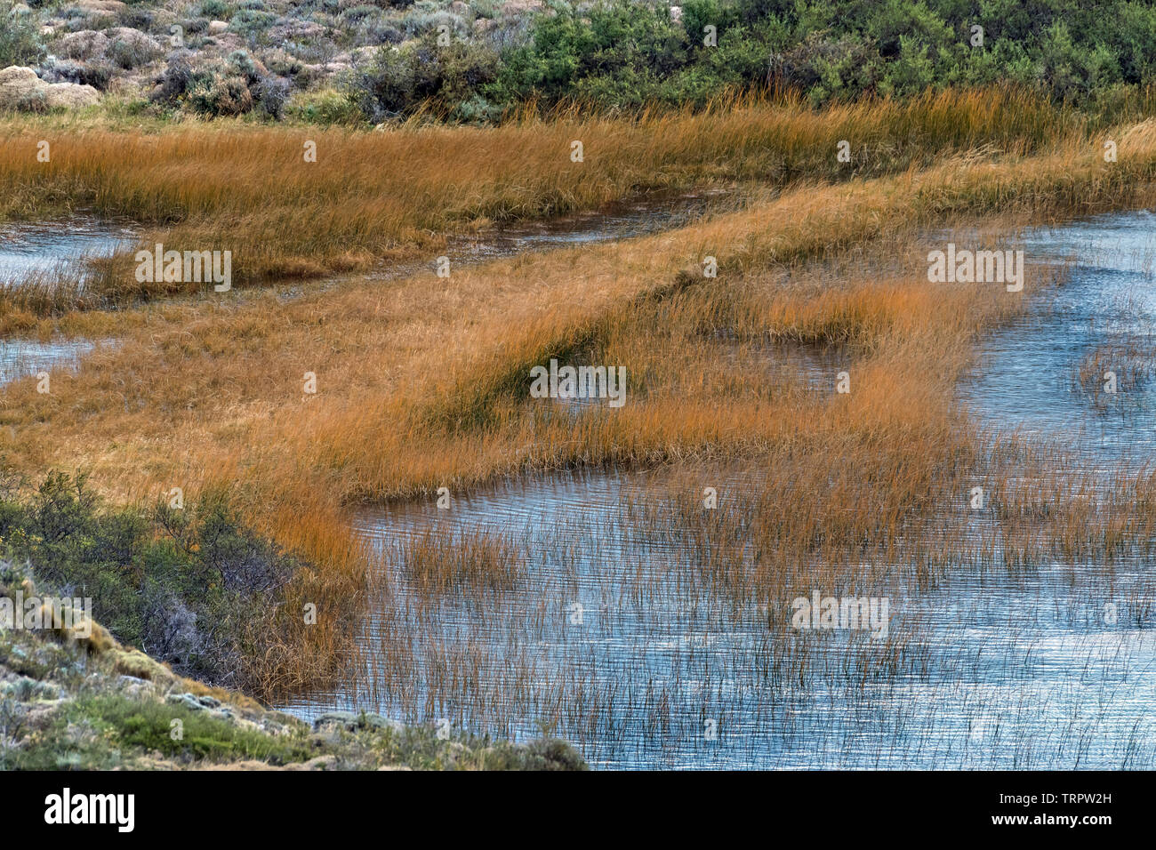 Wasserlandschaft, Torres del Paine NP, Chile Stockfoto