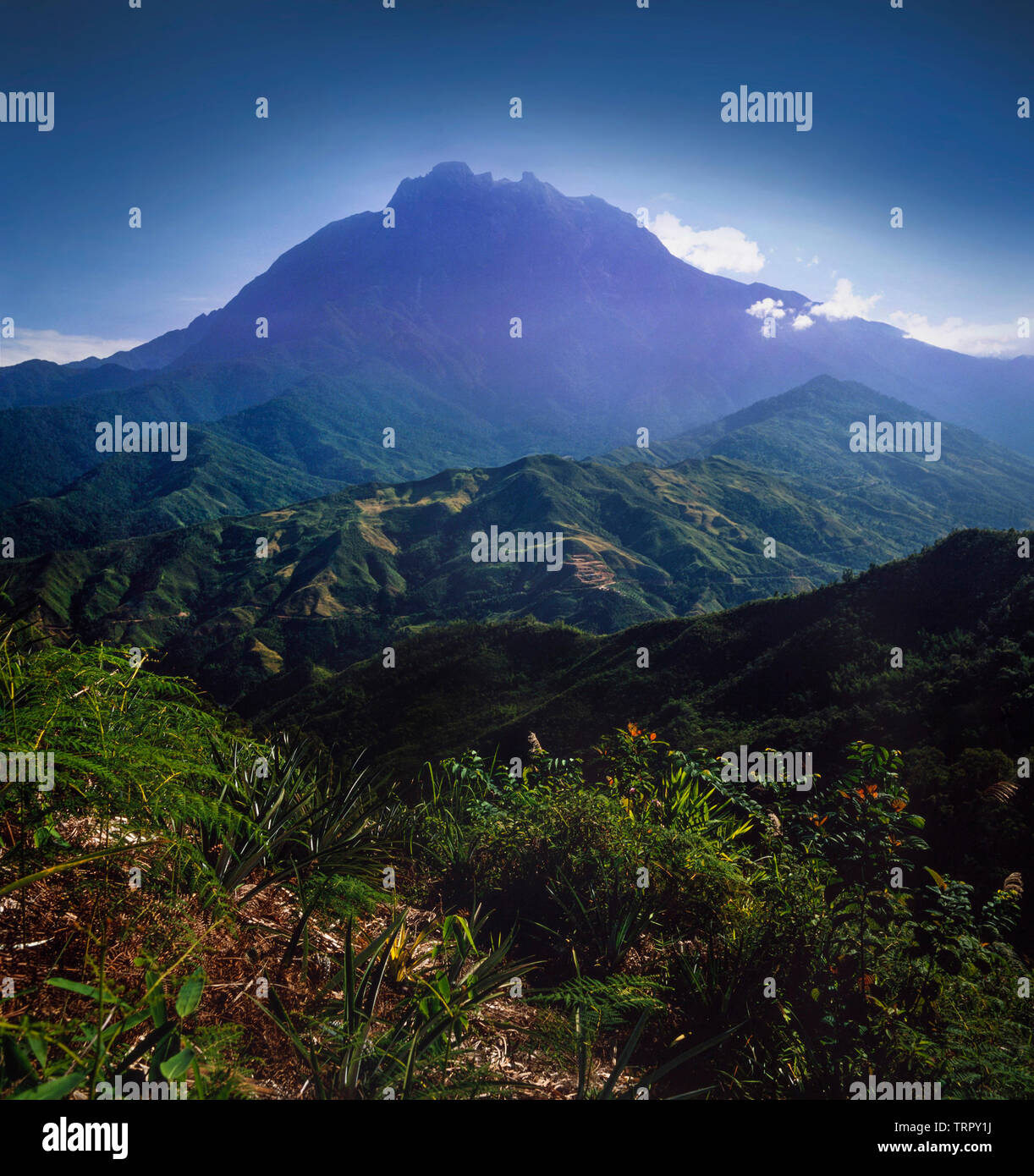 Gunung (mount) Kinabalu, Granitmassiv steigt auf 4101 Meter, Kinabalu National Park, Sabah, Malaysia Stockfoto