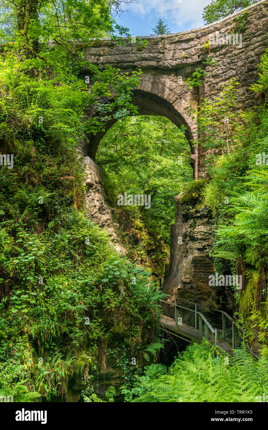 Lydford Gorge ist die tiefste Schlucht im Südwesten von England. Läuft South West von dem malerischen Dorf Lydford, die Schlucht ist ein Ein Stockfoto