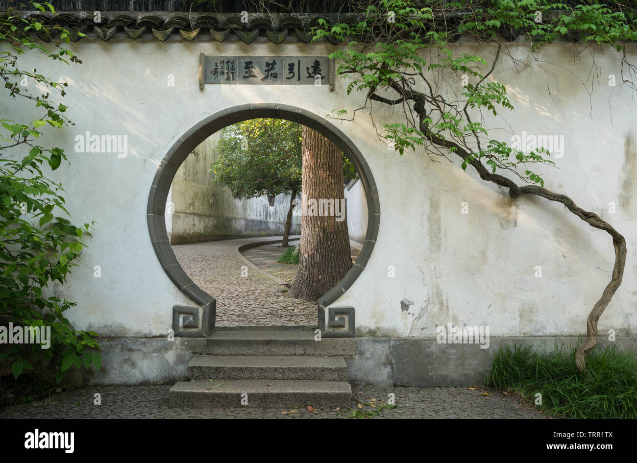 Traditioneller chinesischer Garten in Suzhou Stockfoto