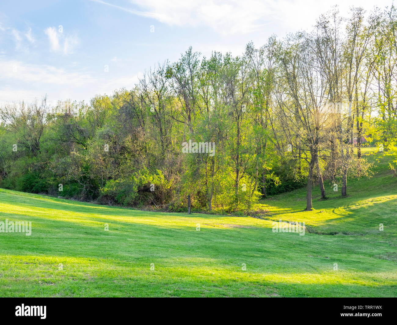 Grüne Rasenfläche mit bewaldeten Fläche, die von einem Creek in Illinois, USA. Stockfoto