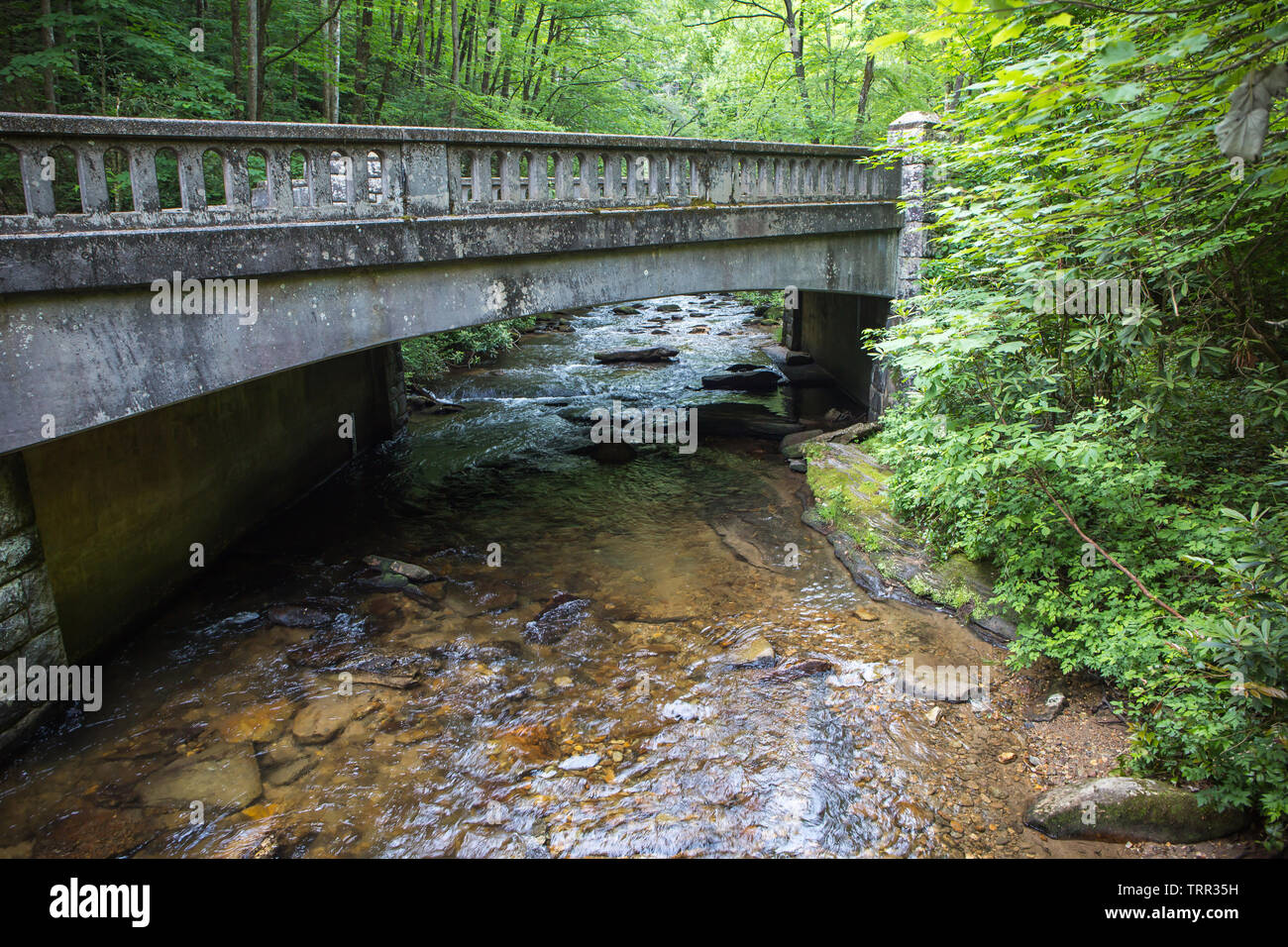 Eine klare stream läuft unter einem rustikalen Brücke im Pisgah National Forest in die North Carolina Berge. Stockfoto