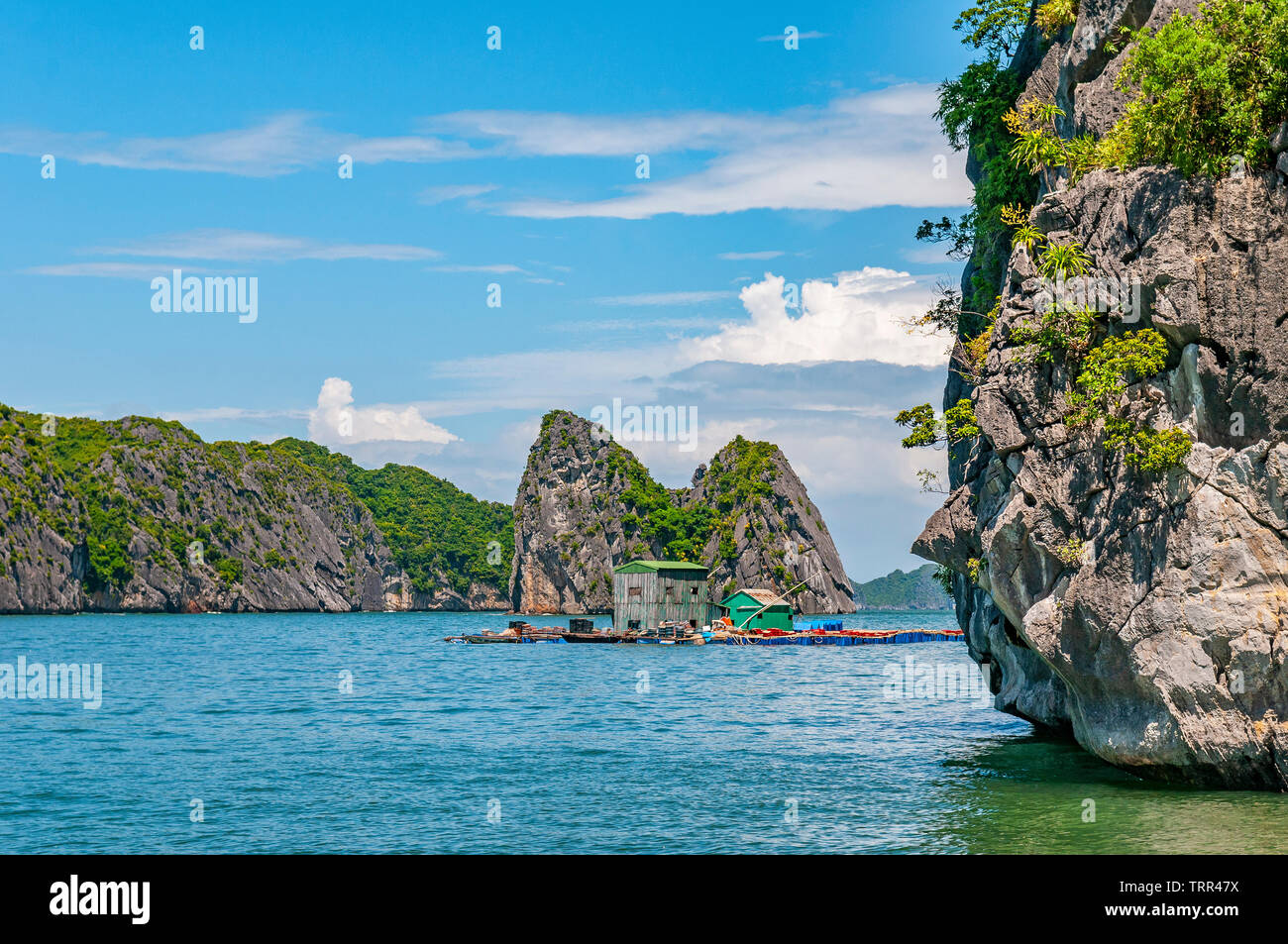 Ein Sommertag zwischen den Karst mineral Formationen und smaragdgrünen Wasser des Golf von Tonkin in Halong Bay mit einem floating House, North Vietnam, Asien. Stockfoto