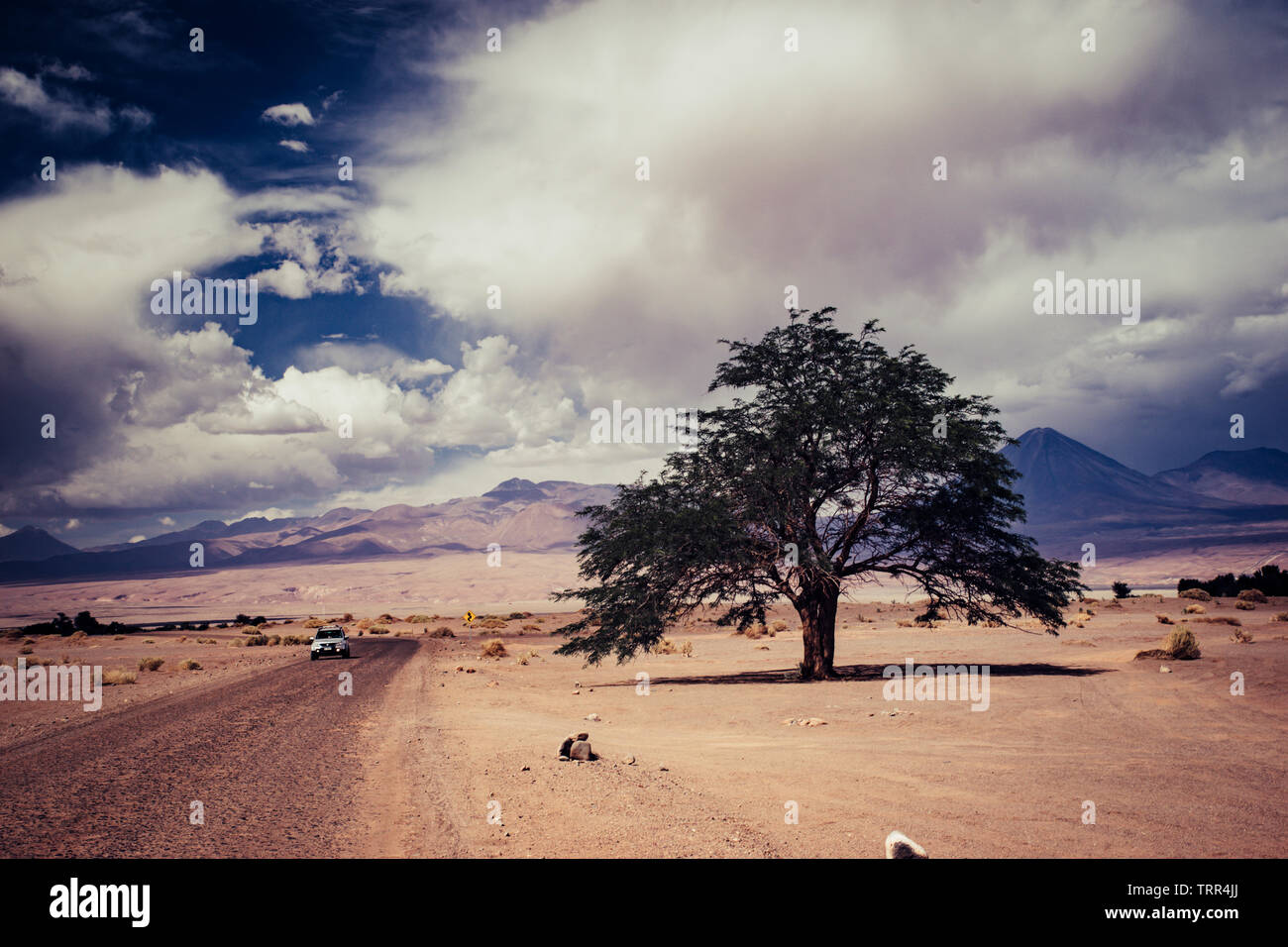 Abwechslungsreiche Landschaft der Wüste in der Nähe von San Pedro de Atacama Stockfoto