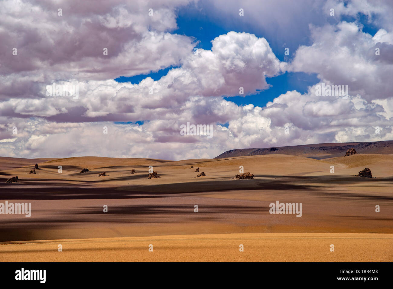 Offene, weite Landschaft des Altiplano in Bolivien Stockfoto