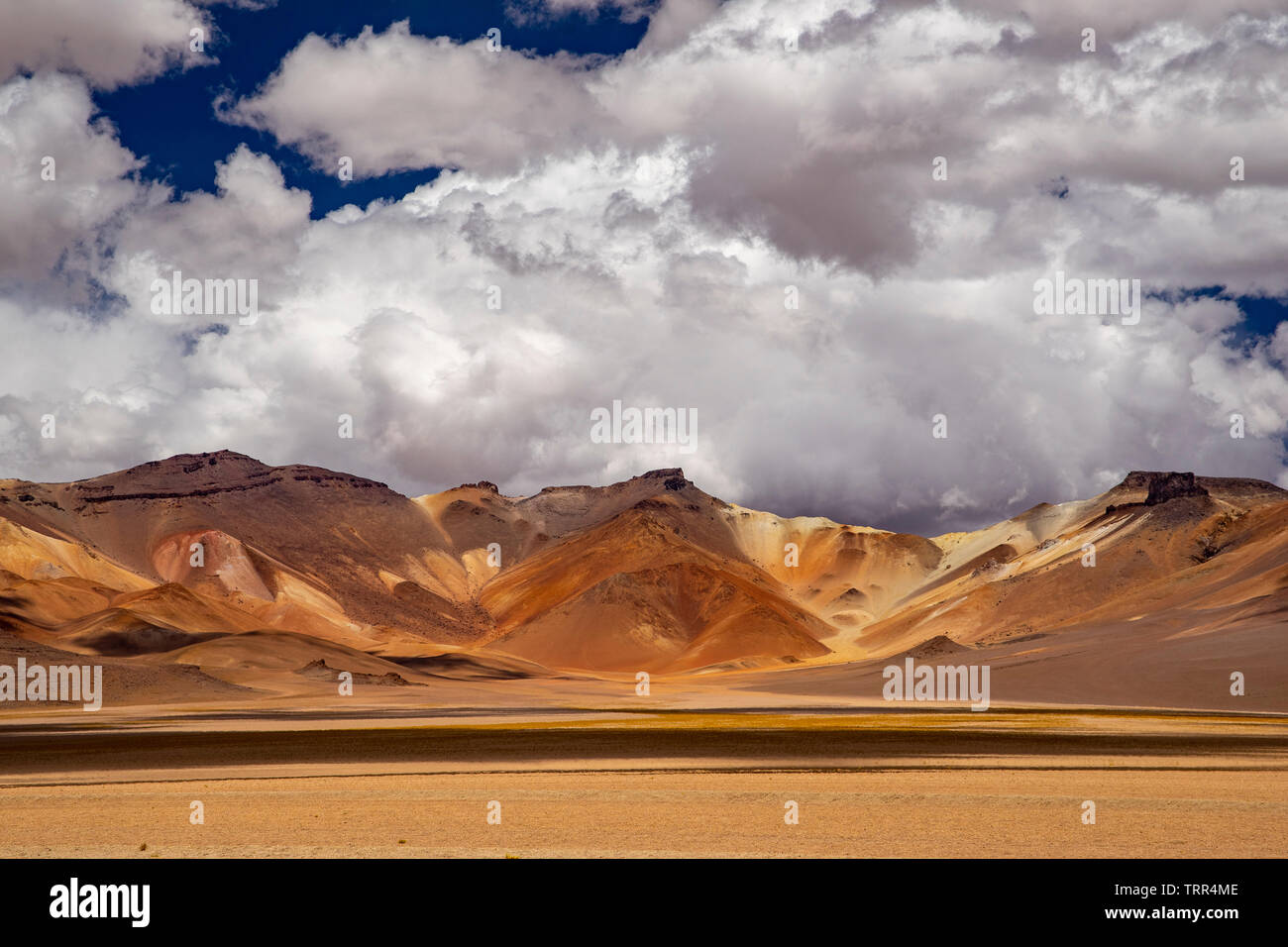 Offene, weite Landschaft des Altiplano in Bolivien Stockfoto