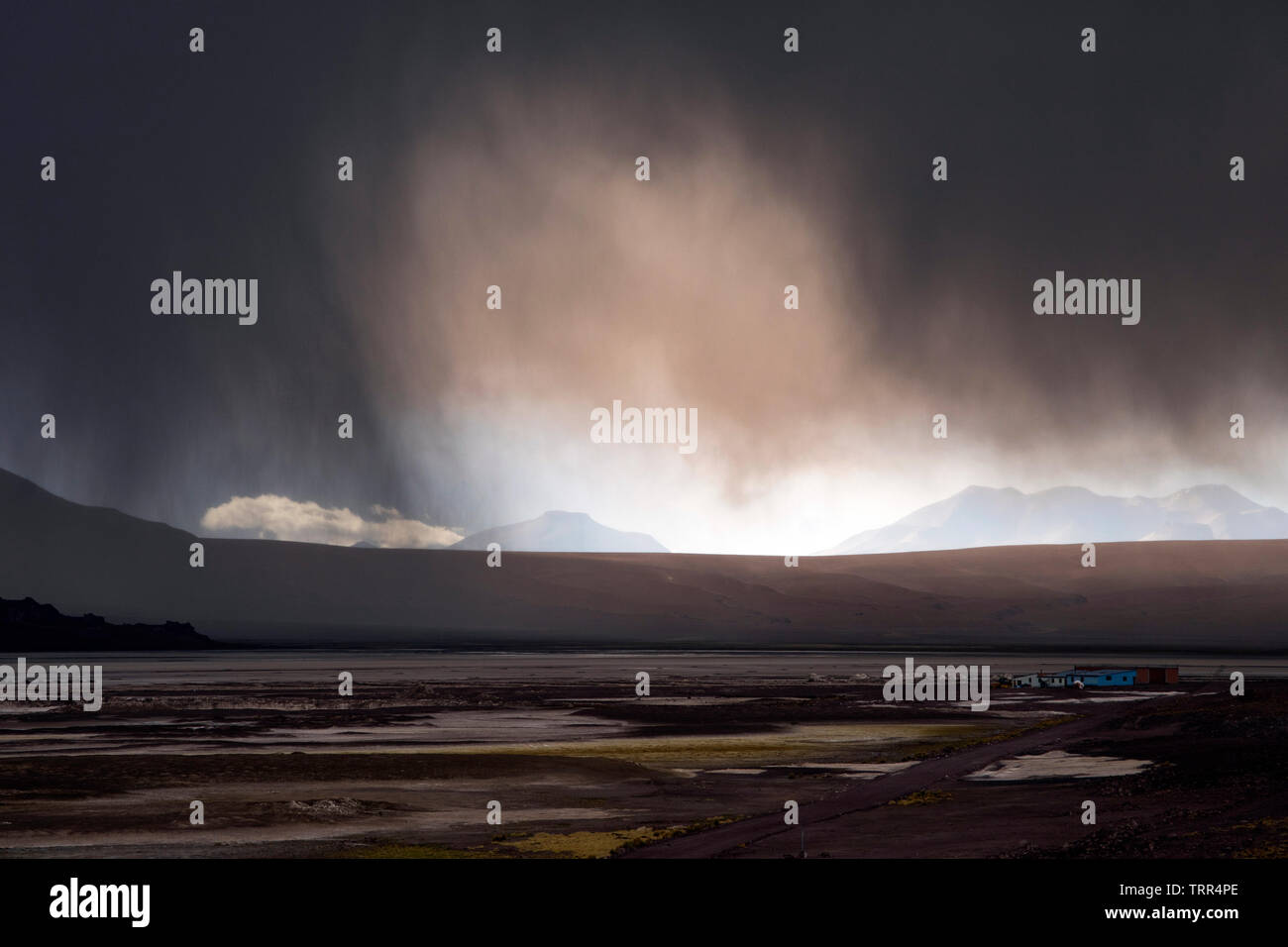 Offene, weite Landschaft des Altiplano in Bolivien Stockfoto