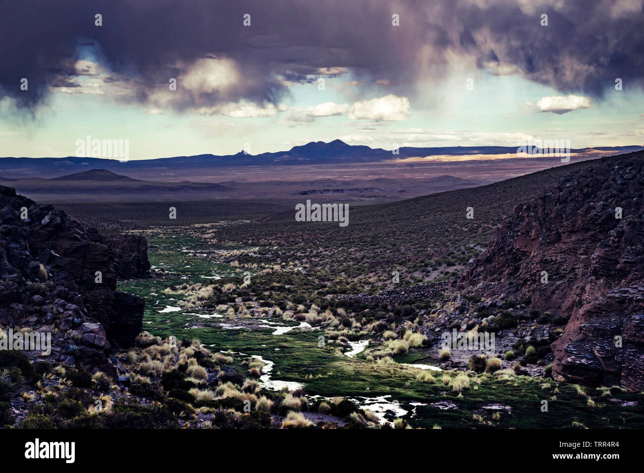 Offene, weite Landschaft des Altiplano in Bolivien Stockfoto