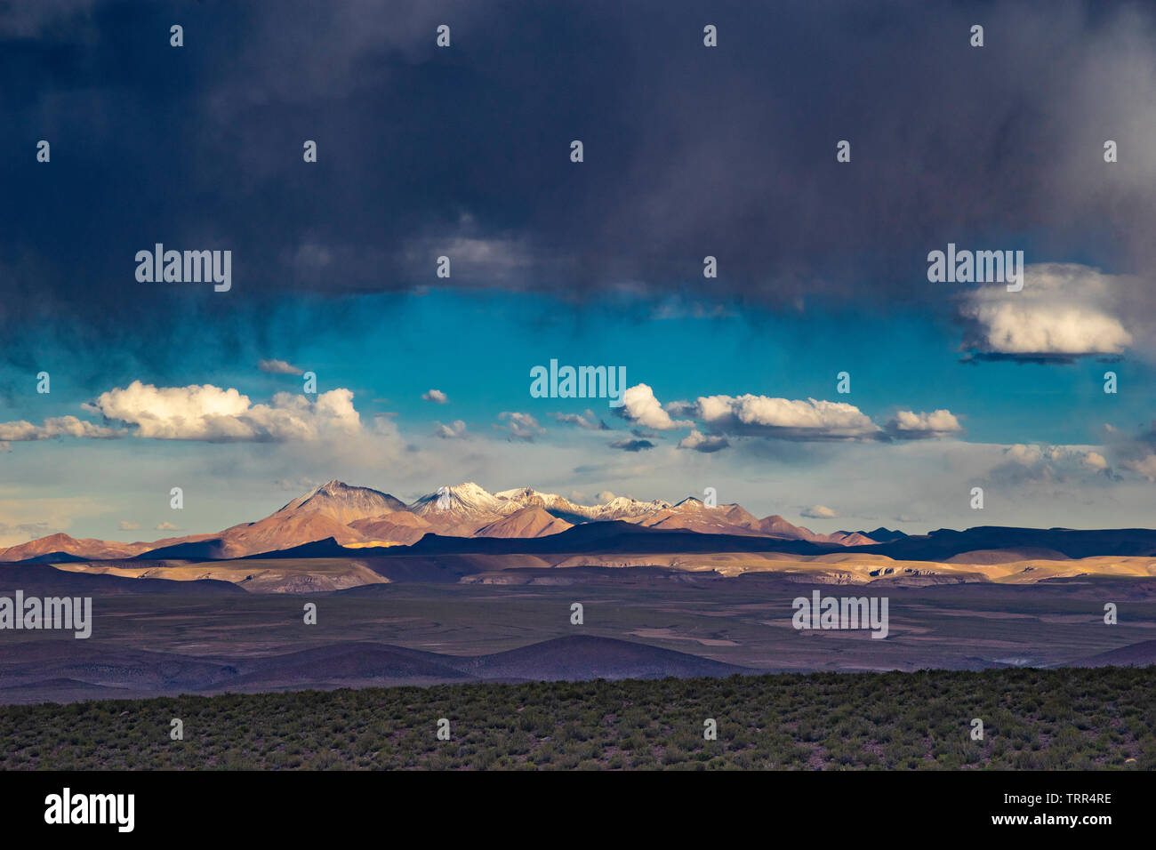 Offene, weite Landschaft des Altiplano in Bolivien Stockfoto