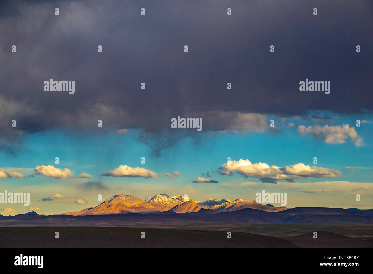 Offene, weite Landschaft des Altiplano in Bolivien Stockfoto