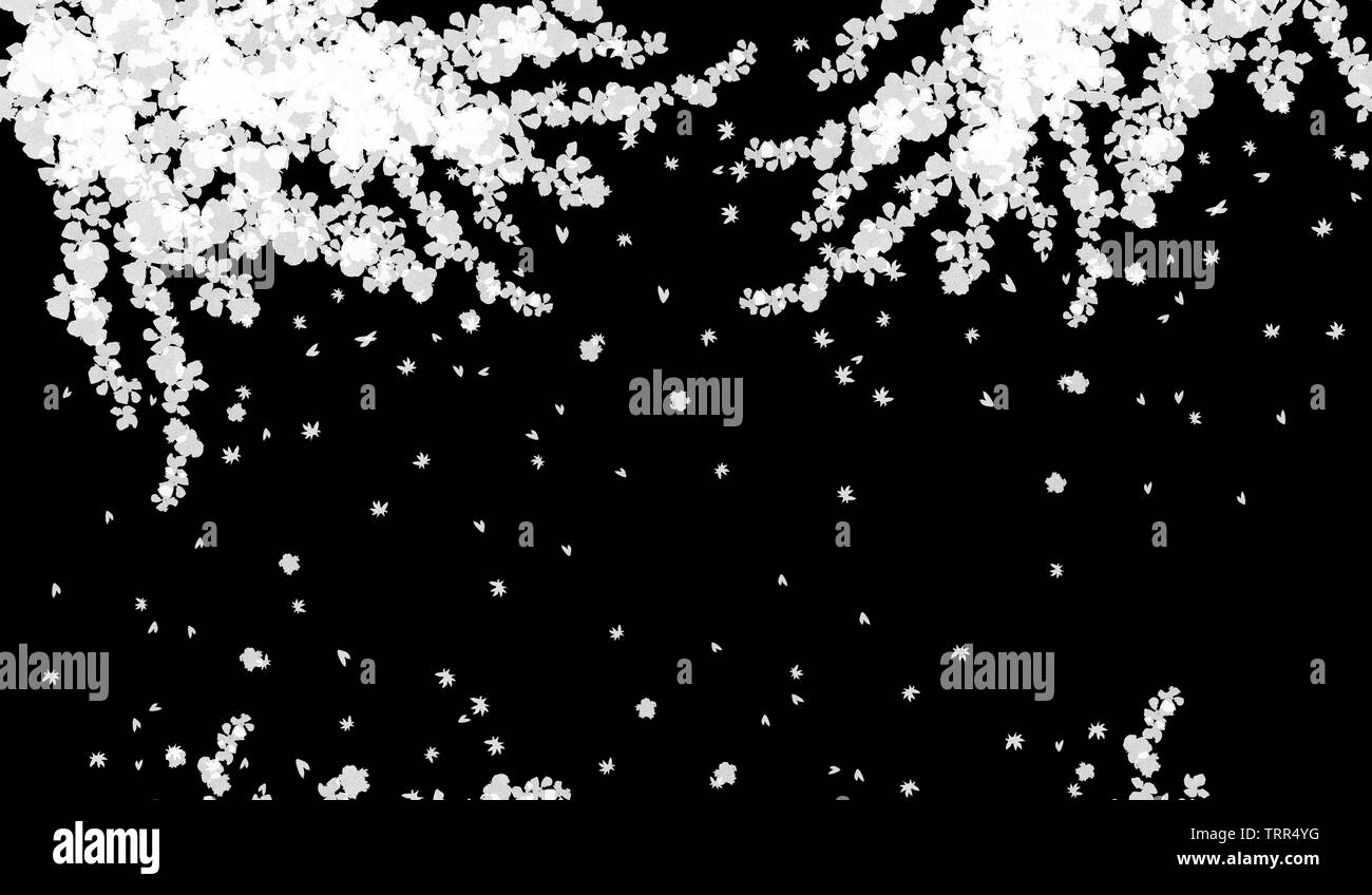 Abstrakte fallen weiße Blumen auf dunklem Hintergrund mit Kopie Raum Stockfoto