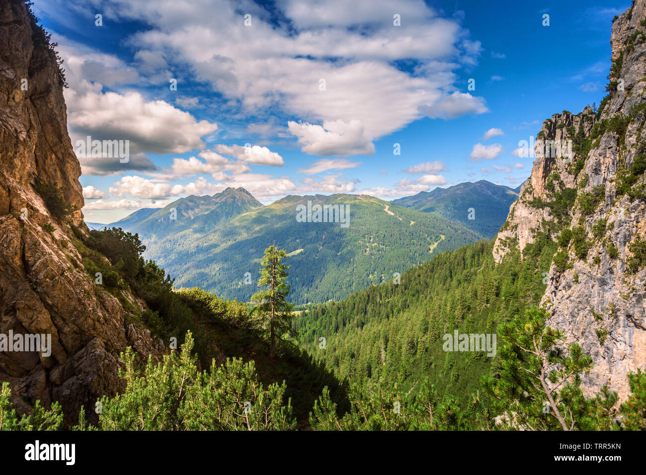 Wandern in San Martino di Castrozza, Aussicht auf einem entfernten Peak und grünen Wald Stockfoto