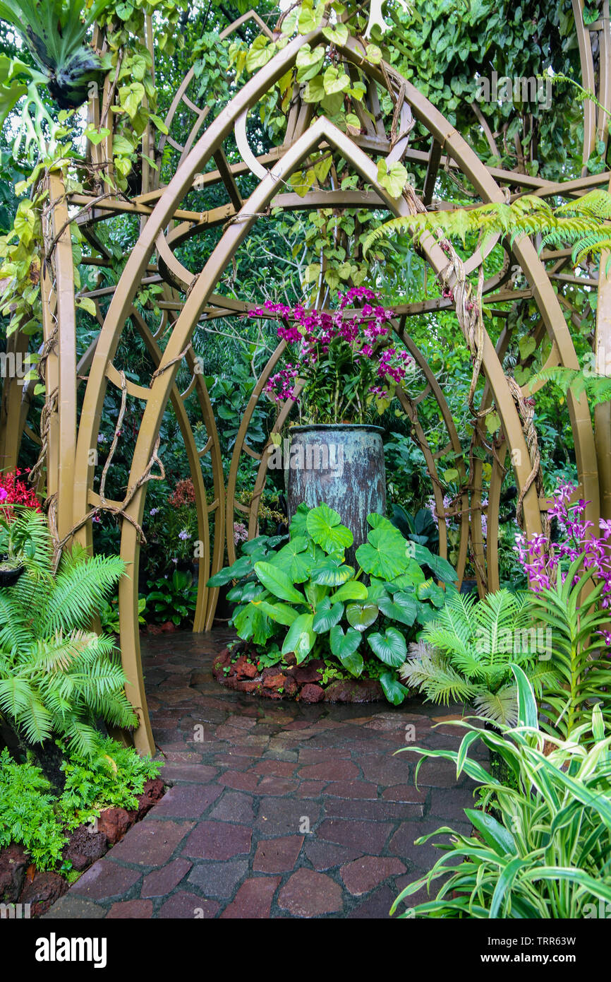 Schönen Bogen am National Orchid Garden, Botanischer Garten Singapur, Singapur, Asien Stockfoto