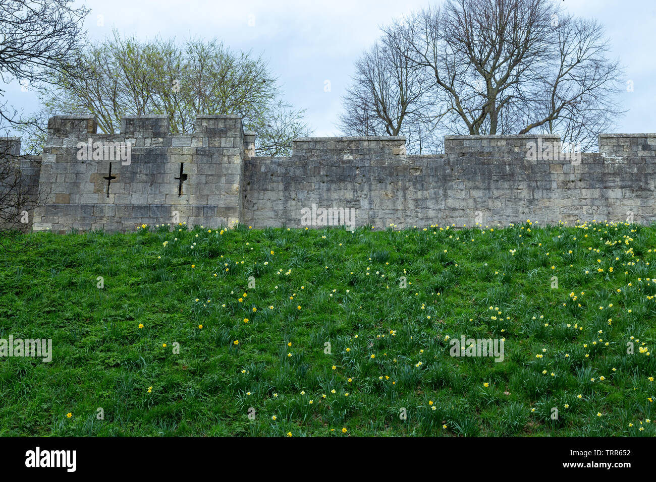 Bar Wände oder mittelalterlichen Stadtmauer, York, Yorkshire, England Stockfoto