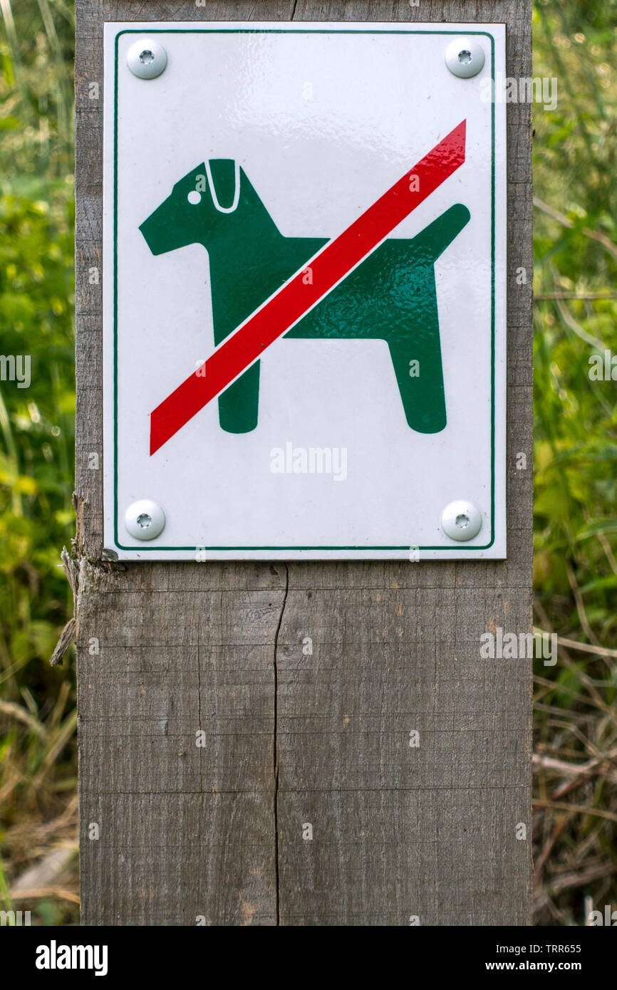 Verbotsschild Hunde sind nicht erlaubt Stockfoto