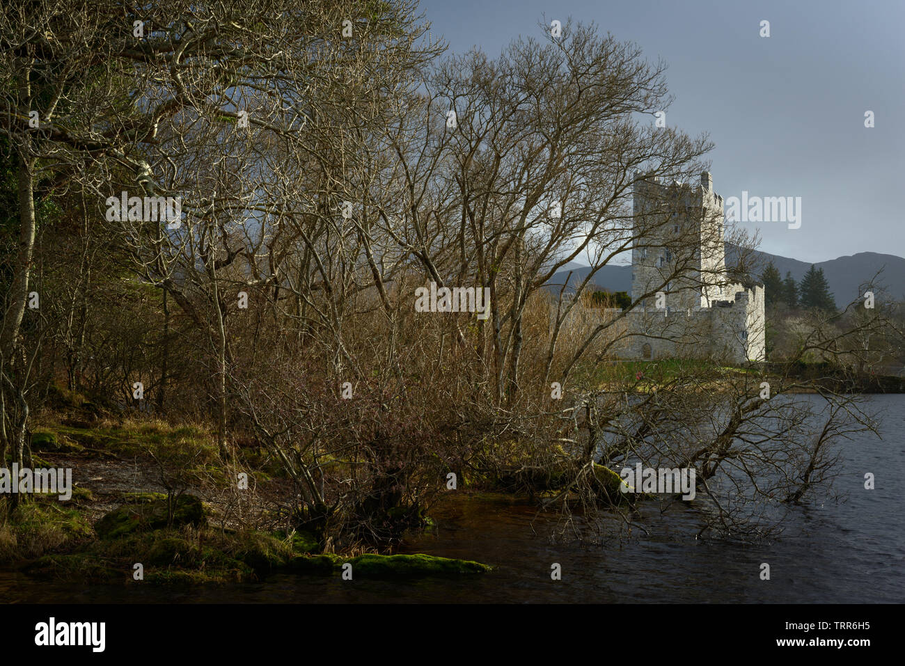 Ross Castle Killarney Irland im Killarney Nationalpark, County Kerry, Irland Stockfoto