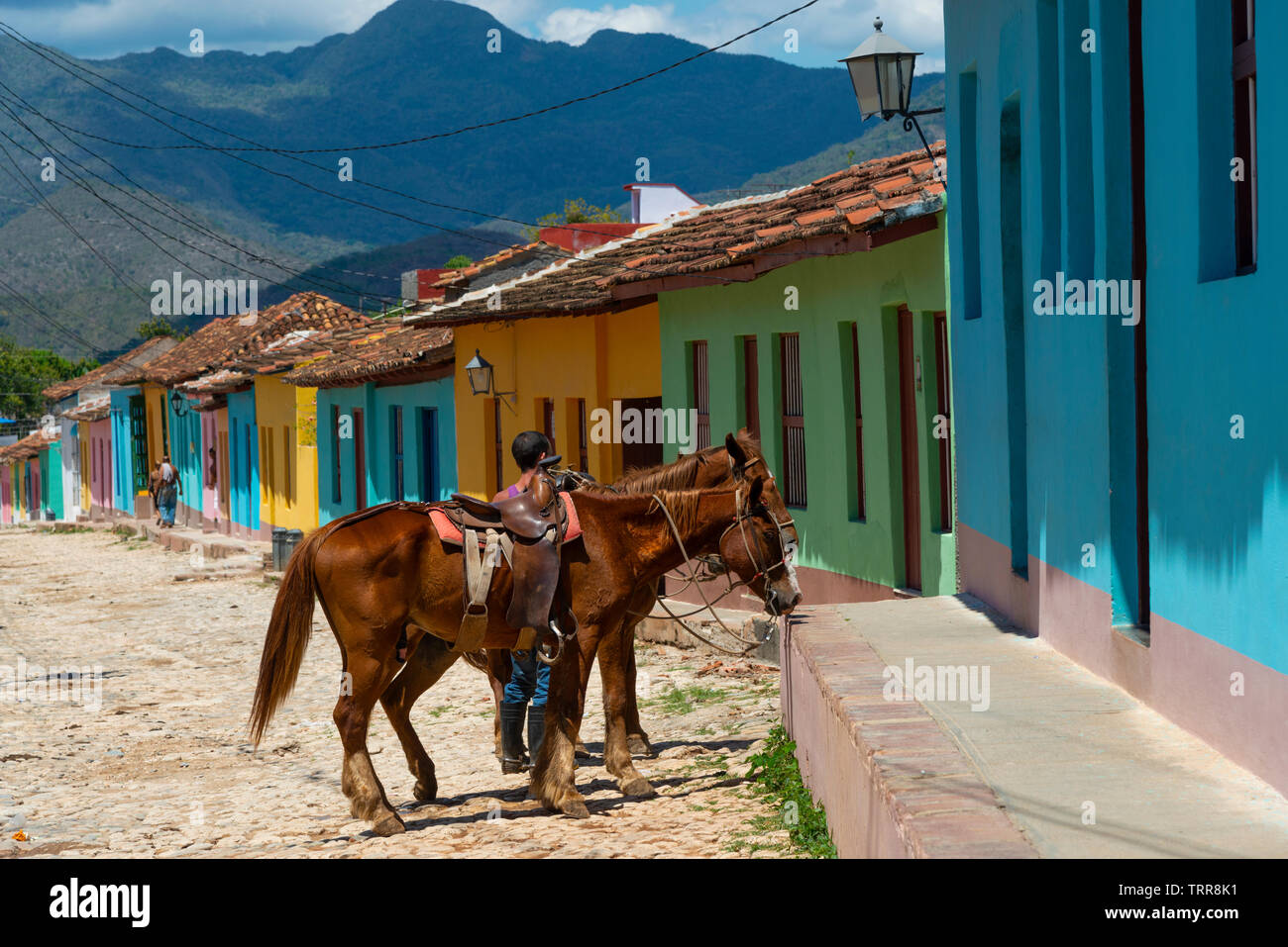 Cowboy Sättel, seine Pferde auf einer gepflasterten Straße, gesäumt mit bunten Häusern mit Escambray Berge im Hintergrund - Trinidad, Kuba, Karibik Stockfoto