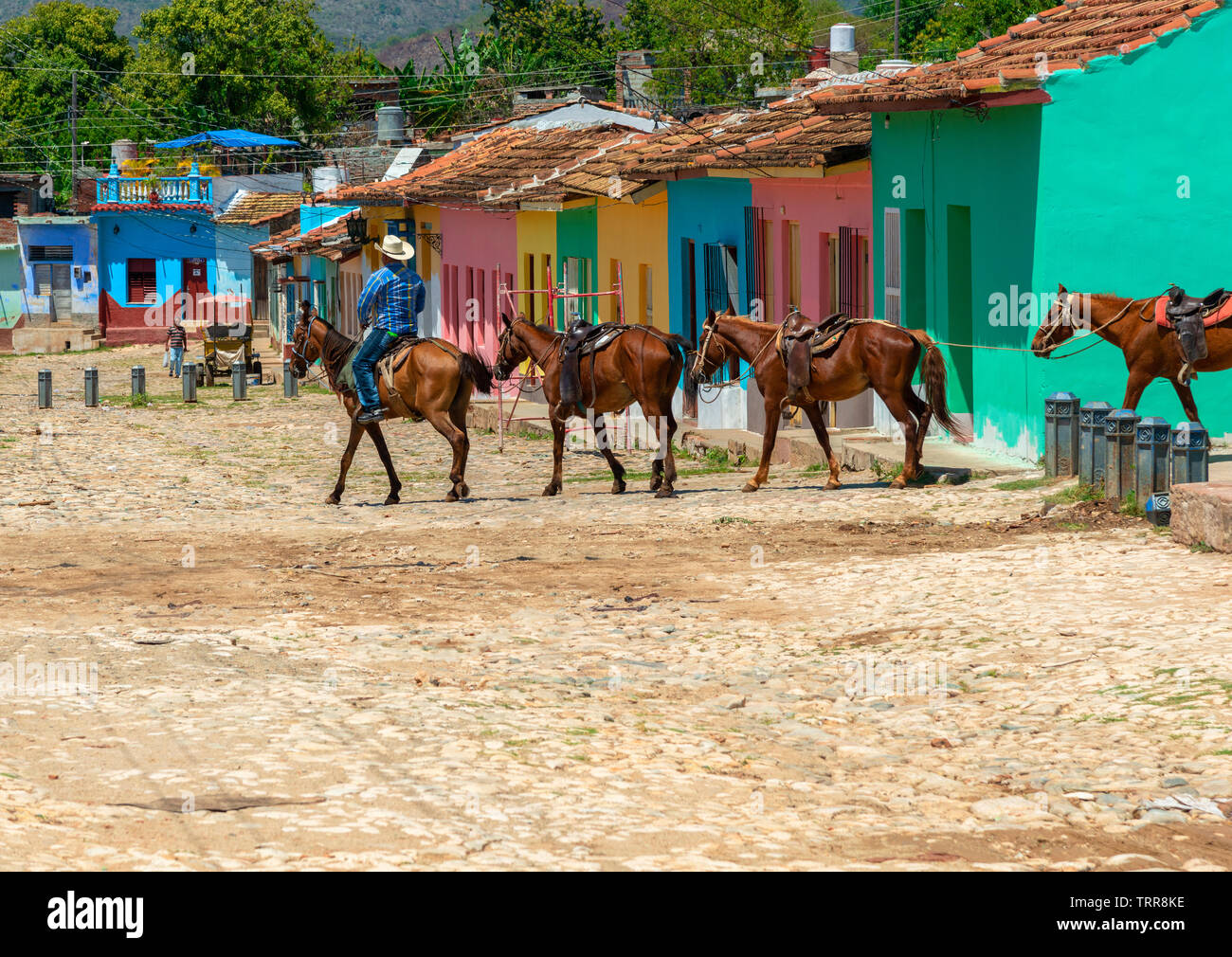 Cowboy führt eine Reihe von Pferden durch eine Straße mit Kopfsteinpflaster mit bunten Häusern in der Stadt Trinidad, Kuba, Karibik, gesäumt Stockfoto