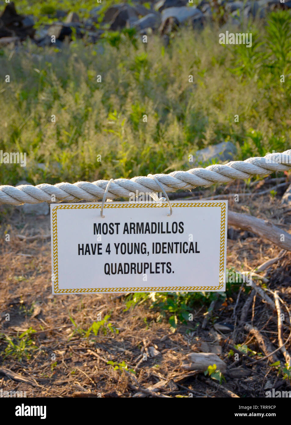 Entlang des schnell fließenden Mississippi River, ein Schild hängt, wenn River Fakten und Besucher Informationen für Touristen in Greenville, MS, USA Stockfoto