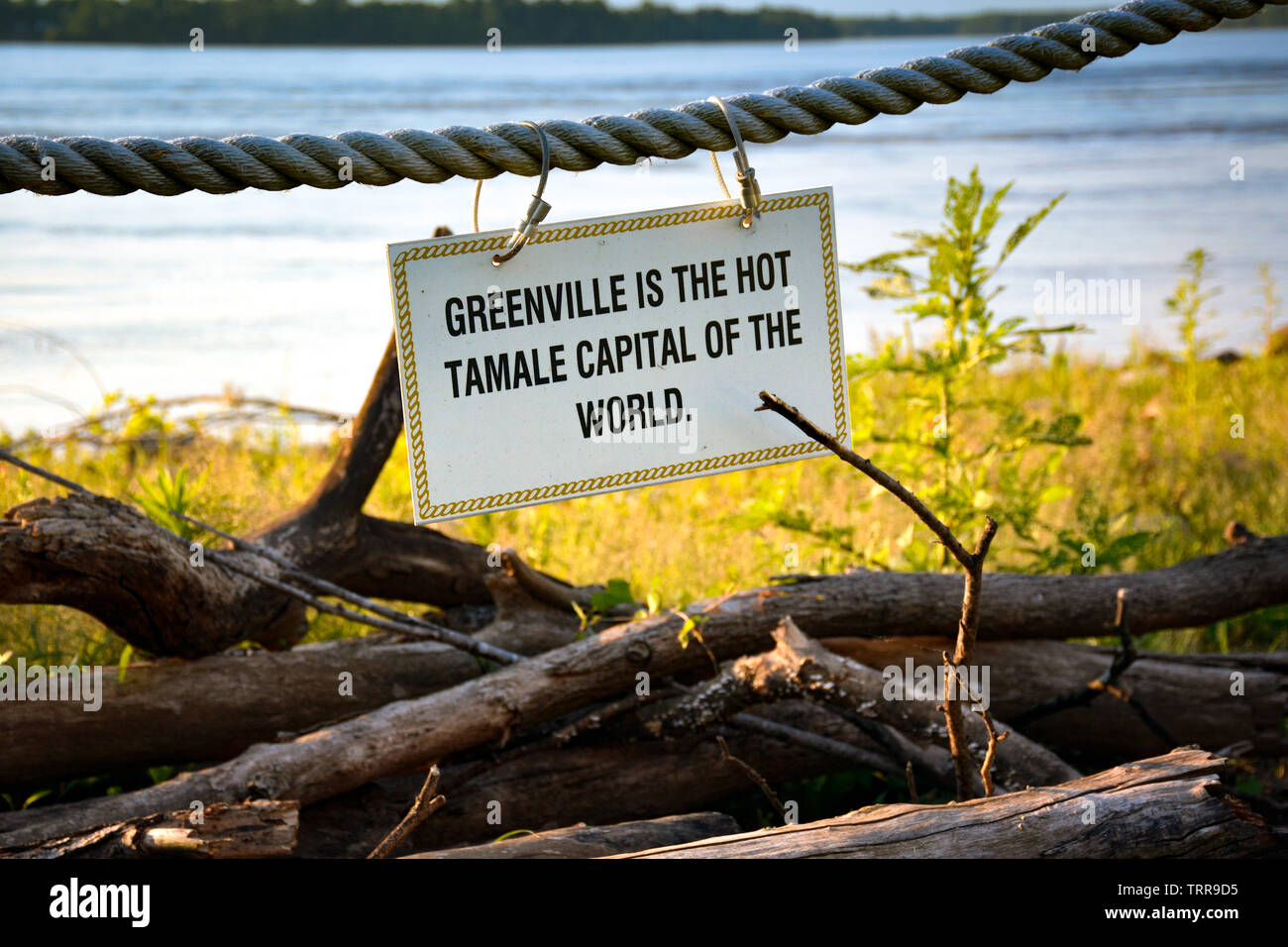 Entlang des schnell fließenden Mississippi River, ein Schild hängt, wenn River Fakten und Besucher Informationen für Touristen in Greenville, MS, USA Stockfoto