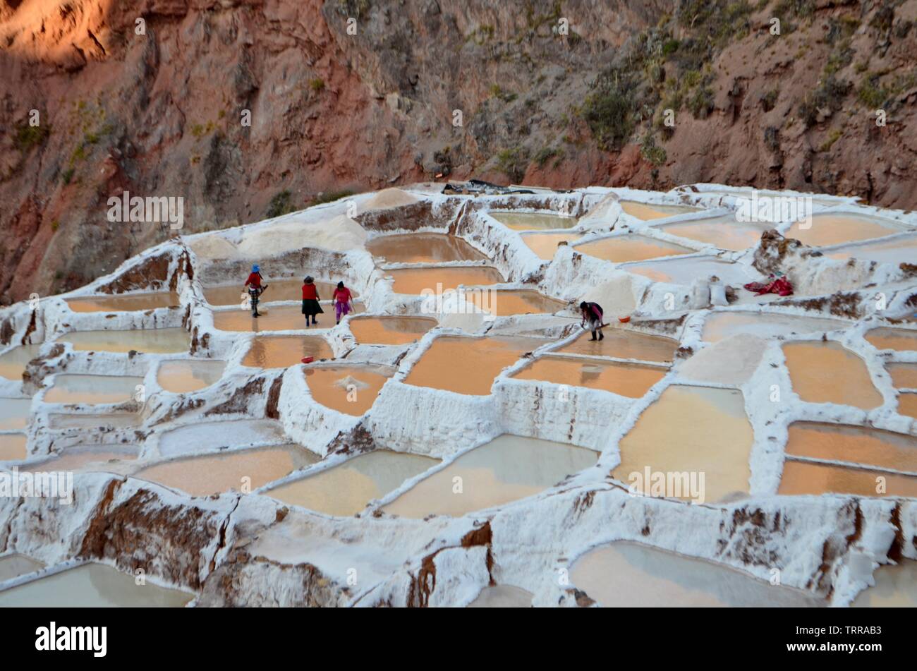 Peru, Cuzco, Arequipa. Maras Salz Verdunstungsteichen in Cusco und Ollantaytambo. Stockfoto