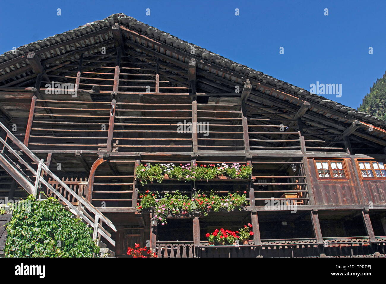 Italien Piemont Seen Lago d'Giulio italienischen Alpen Alagna Valsesia Tal traditionelle Walser Holz Gebäude mit roten Blumen Geranien Architektur Stockfoto