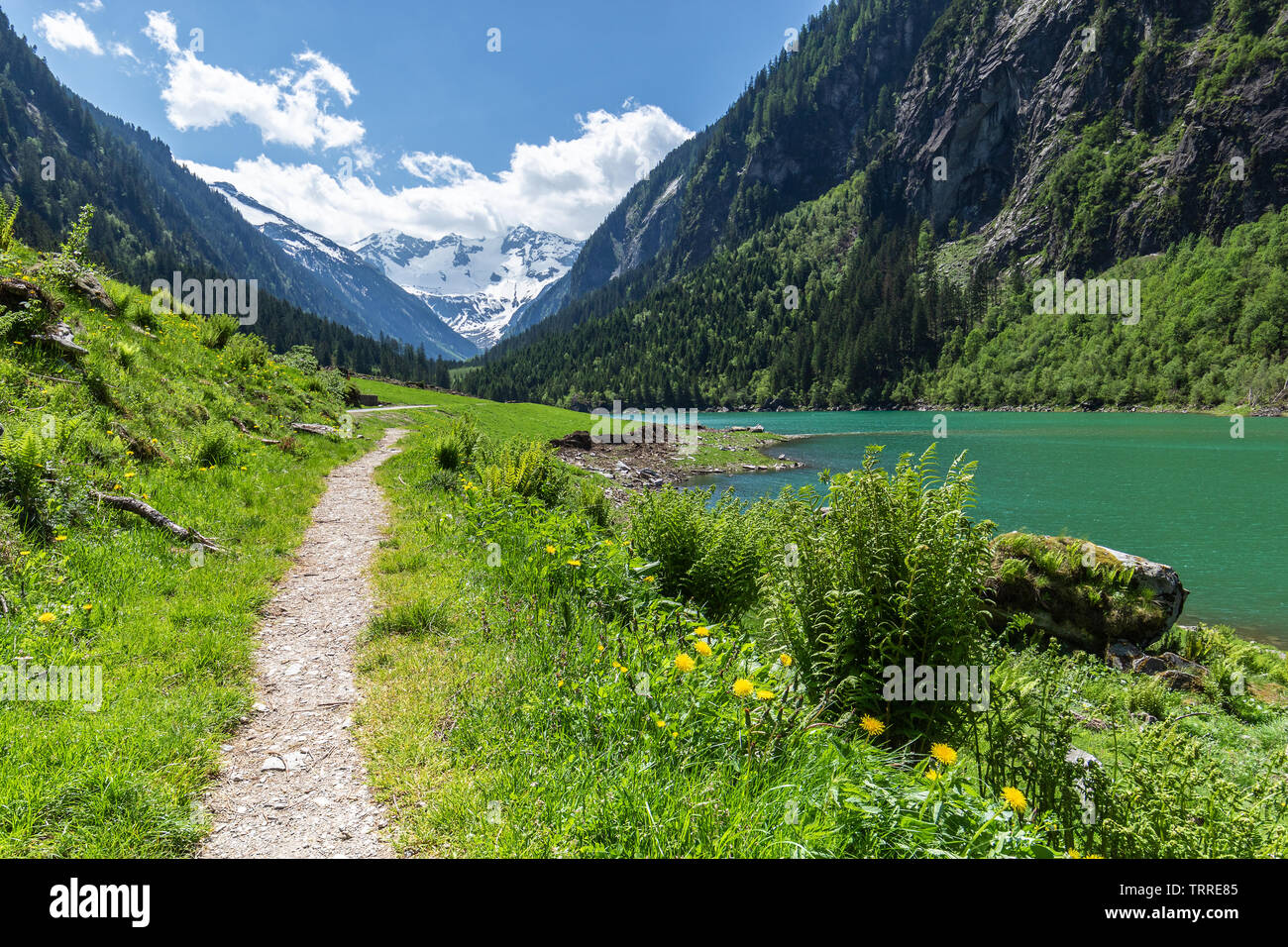 Idyllisches Ausflugsziel scenic im Sommer in den Alpen, in der Nähe von Stillup See, Naturpark Zillertaler Alpen, Österreich, Tirol Stockfoto