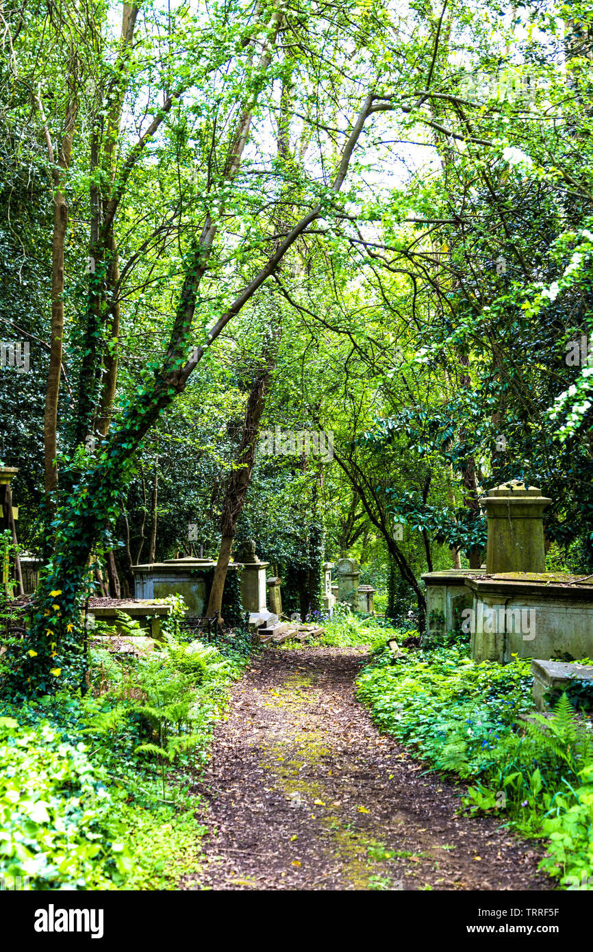 Highgate West Friedhof, London, UK Stockfoto