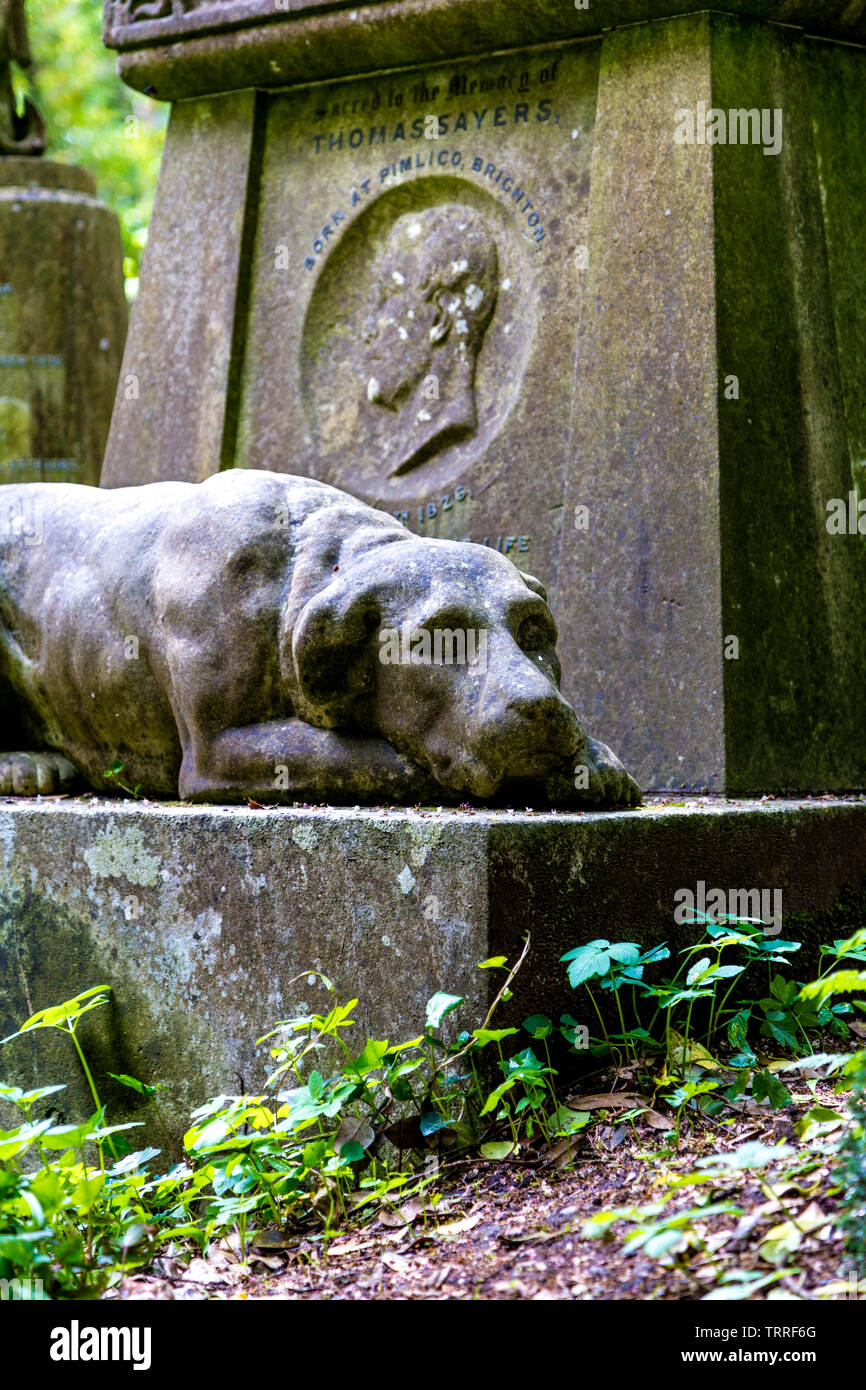 Skulptur von Lion der Hund, Chief Rollschuh auf dem Grab von Boxer/Faustkämpfer Tom Sayers Highgate West Friedhof, London, UK Stockfoto