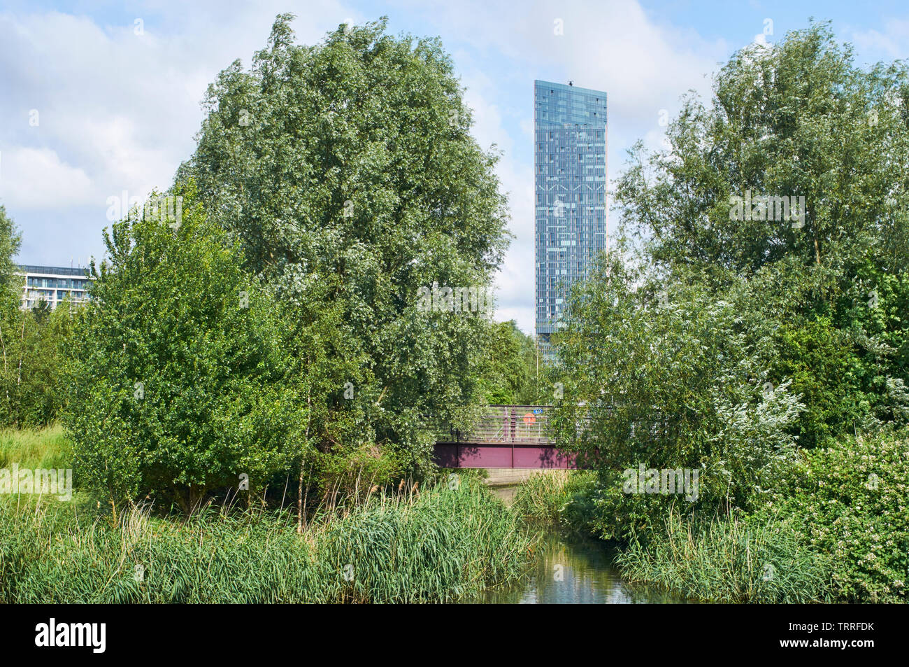 Das Manhattan Loft Gardens Apartment Gebäude gesehen, die von einem Strom in London Olympic Park im Sommer, East London, Großbritannien Stockfoto