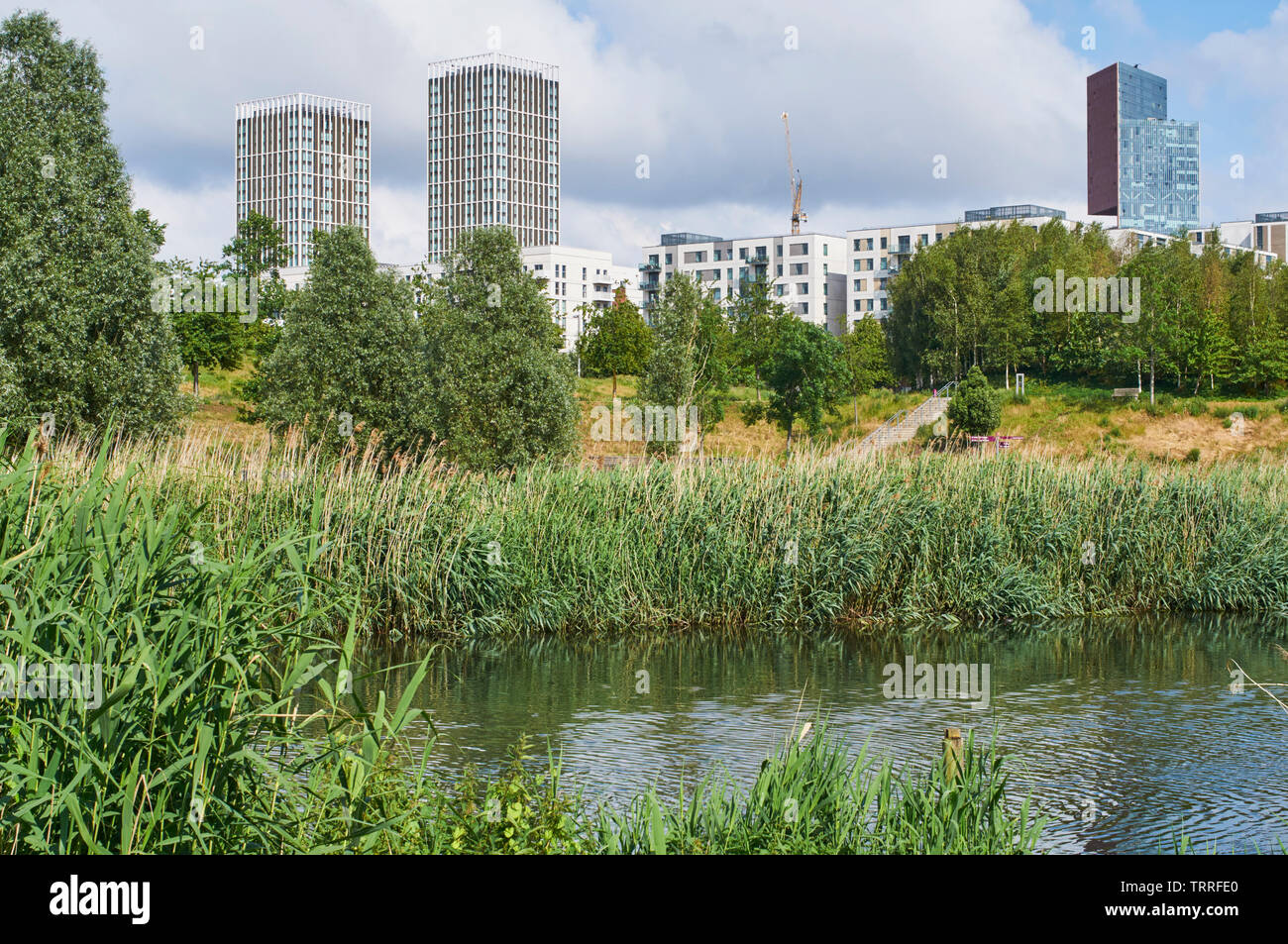 East Village bei Stratford, East London UK, gesehen von den Ufern des Flusses Lea im Londoner Olympic Park Stockfoto