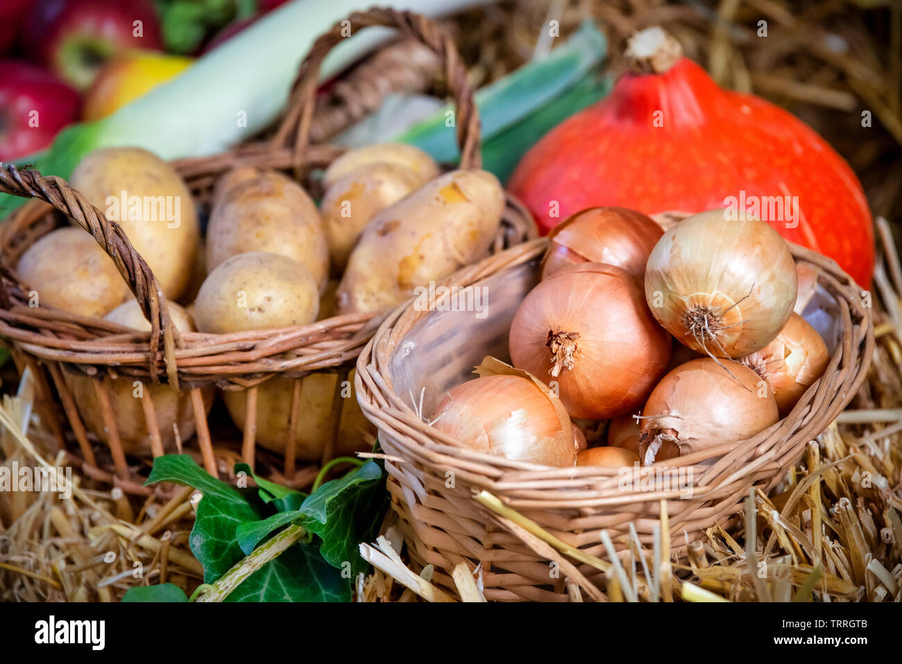 Zwiebeln und Kartoffeln im Weidenkorb. Schönen Hintergrund für Harvest Festival Stockfoto