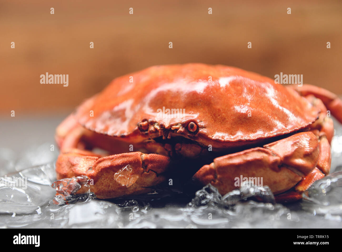 Krabben auf Eis / in der Nähe von Stone Crab gedämpft in der Seafood Restaurant Stockfoto