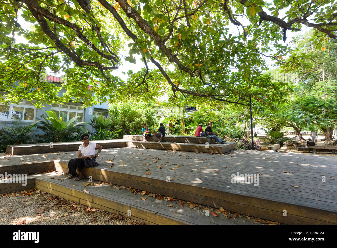Menschen entspannen im Schatten der riesigen Bäume in einem öffentlichen Park, Port Vila, Vanuatu, Melanesien Stockfoto
