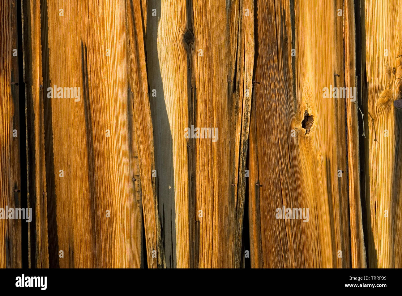 Eine Nahaufnahme von einem Holz Wand. Stockfoto