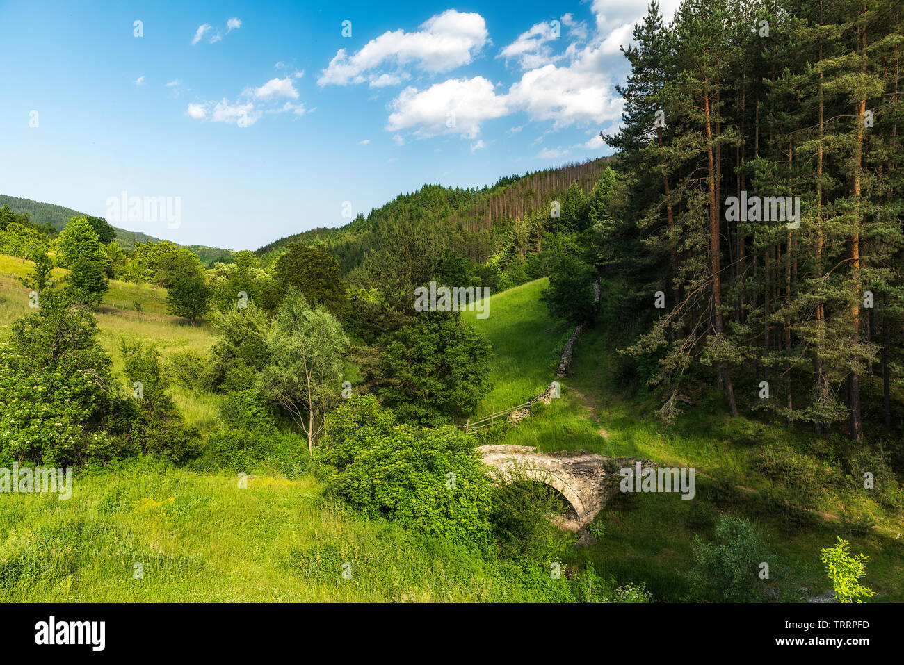 Kleiner Stein römische Brücke in der Nähe von Zagrazhden Dorf in Rhodopen Gebirge, Bulgarien Stockfoto