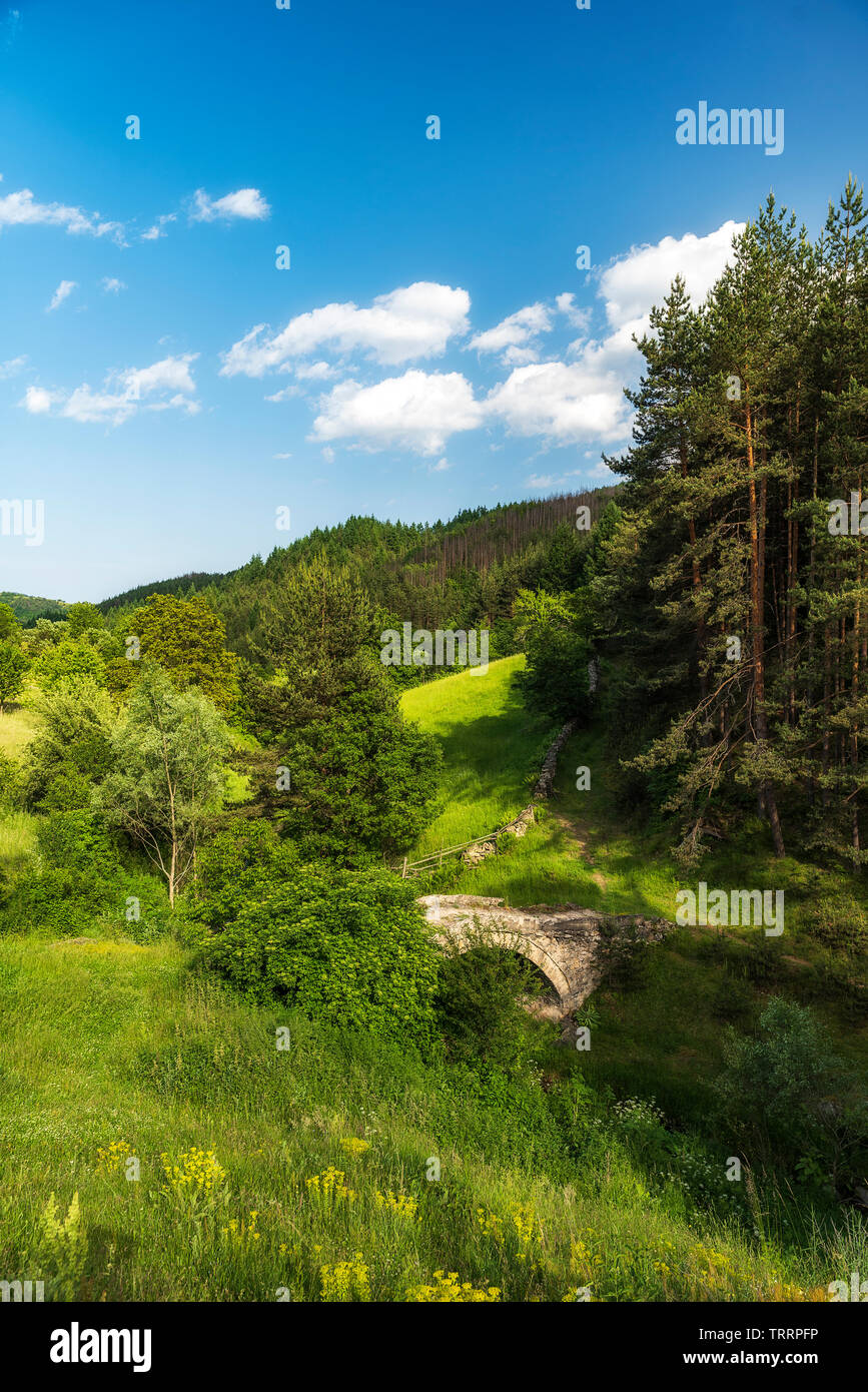 Kleiner Stein römische Brücke in der Nähe von Zagrazhden Dorf in Rhodopen Gebirge, Bulgarien Stockfoto