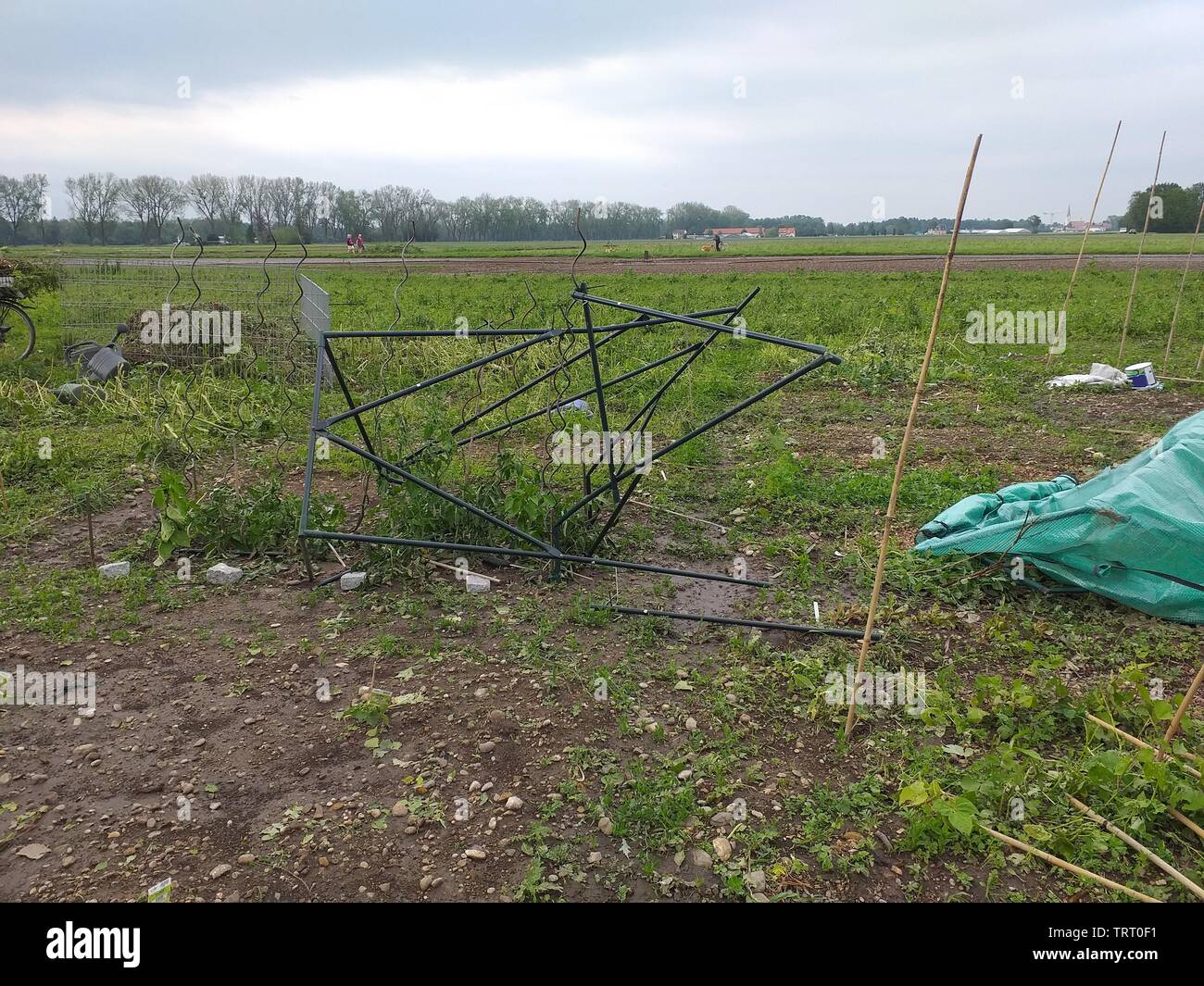 Abgerissen tomatoe Haus Skelett auf einem privaten Feld nach Sturm am 06.10.2019, München, Deutschland. Stockfoto