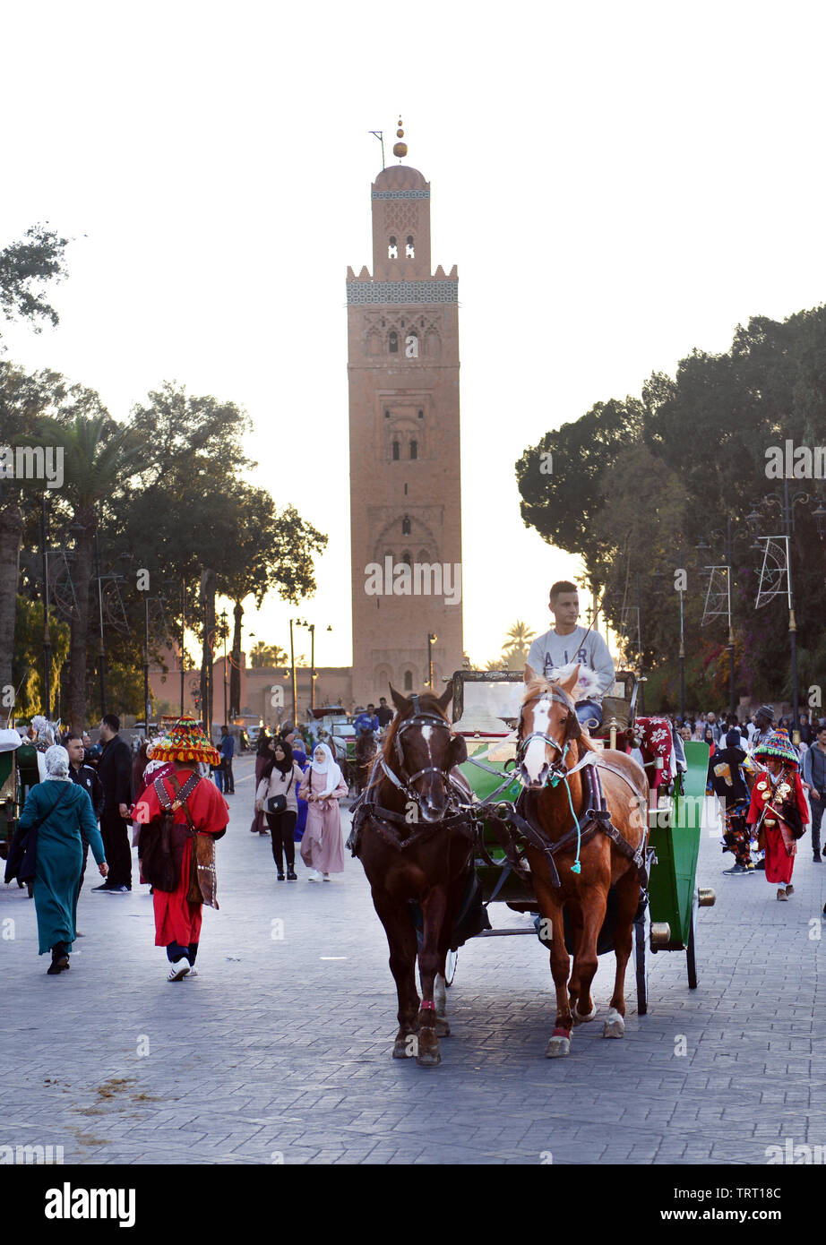 Ein Pferd Warenkorb am Djema el Fna Square. Stockfoto