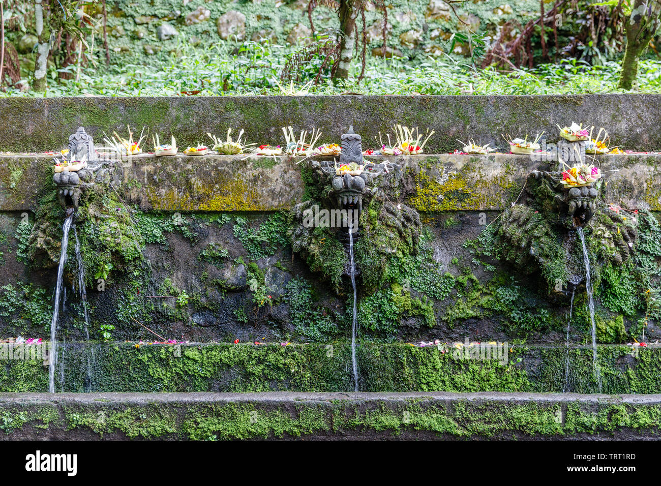 Heiliges Wasser von dragon Form Brunnen bei balinesischen Hindu Tempel Pura Luhur Batukaru, Tabanan, Bali, Indonesien Stockfoto