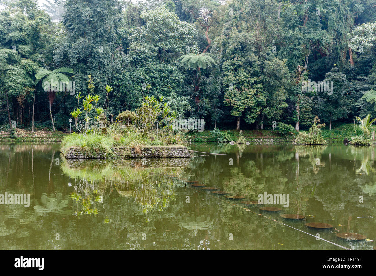 Teich in der Nähe von balinesischen Hindu Tempel Pura Luhur Batukaru, Tabanan, Bali, Indonesien Stockfoto