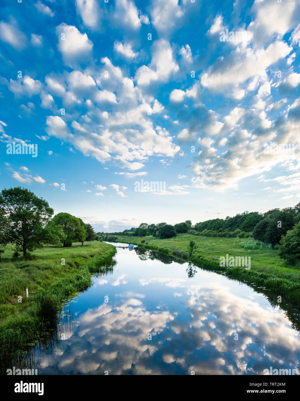 Eine friedliche Juni abends am Fluss Nene in der Nähe der Fähre suchen, Peterborough, Cambridgeshire, mit einem Makrele Himmel im Wasser wider. Stockfoto