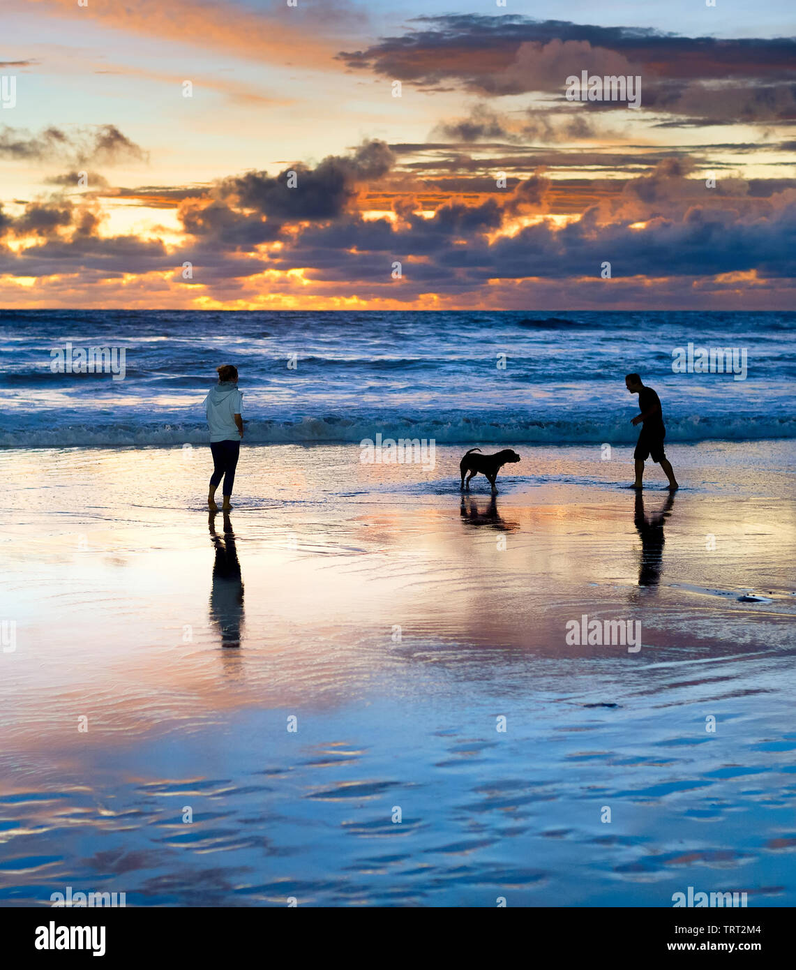 Paar spielen am Strand mit Hund, malerischen Sonnenuntergang Marine im Hintergrund, Bali, Indonesien Stockfoto