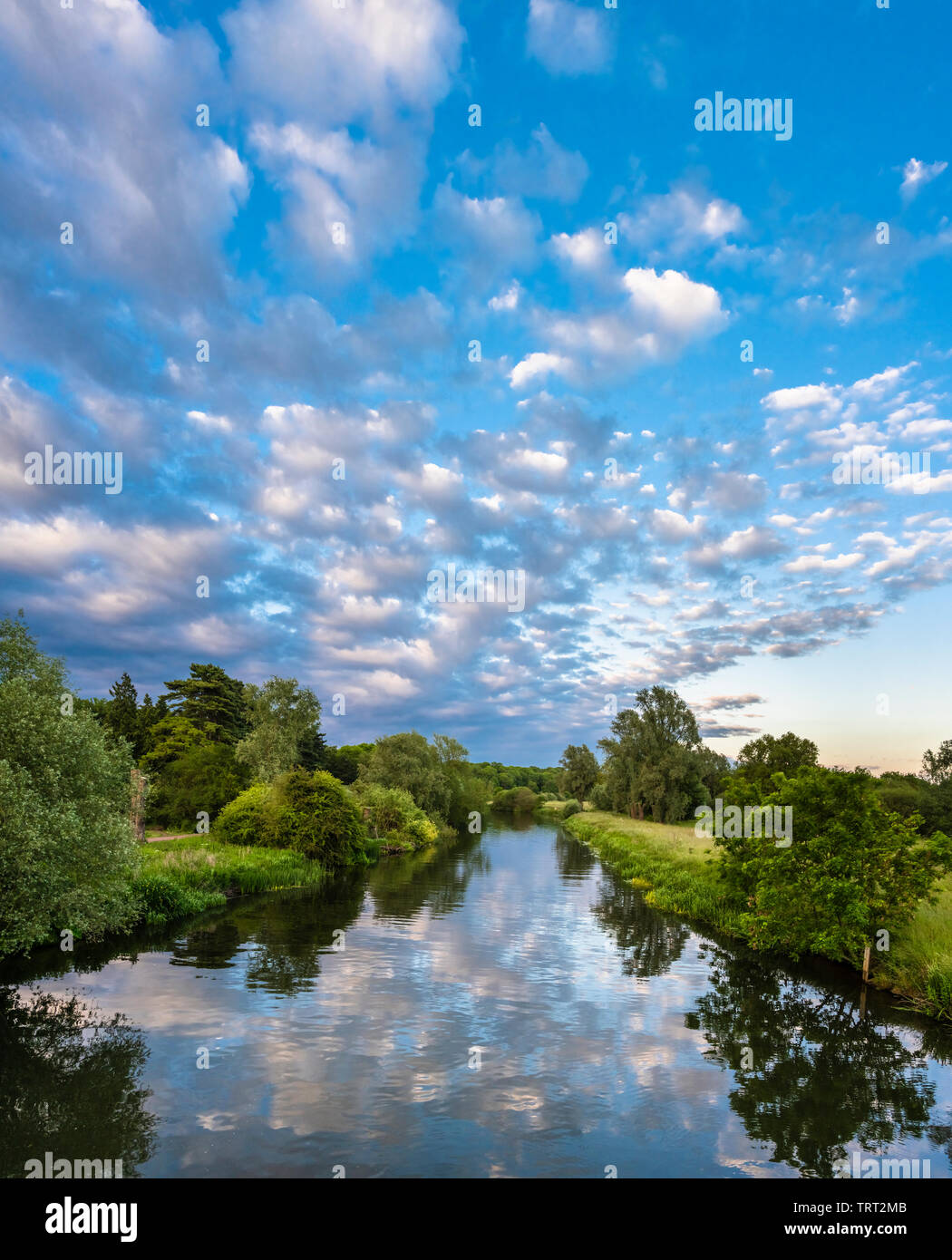 Eine friedliche Juni abends am Fluss Nene in der Nähe der Fähre suchen, Peterborough, Cambridgeshire, mit einem Makrele Himmel im Wasser wider. Stockfoto