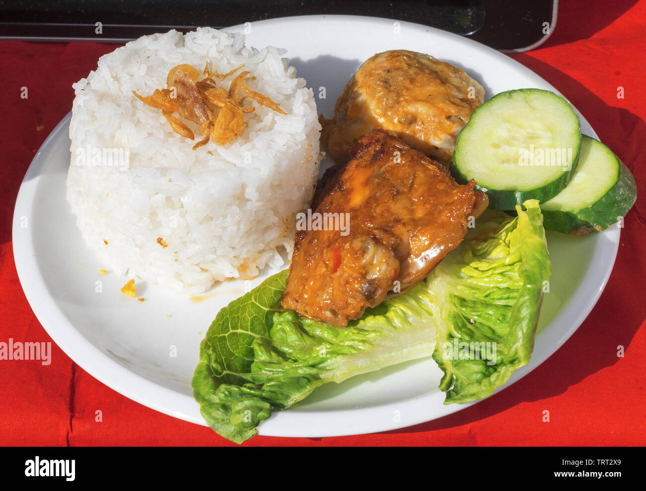 Schale mit indonesischen Essen, gegrilltem Hähnchenfleisch in Rujak Sauce mit Gurken, grüne Blätter Salat und Reis. Botschaft Street Food Festival im Stockfoto