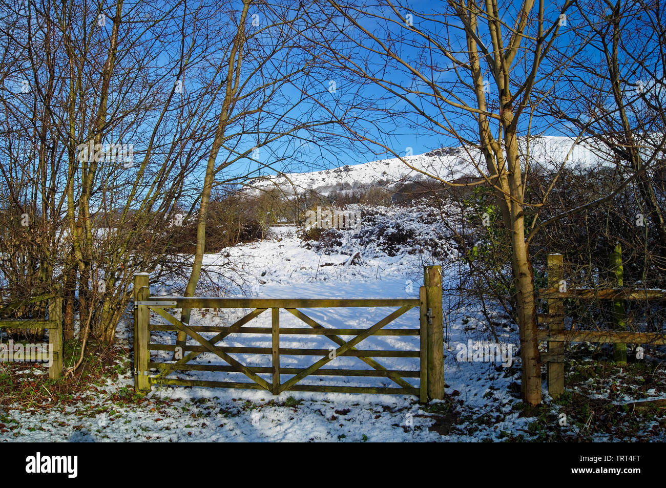 Großbritannien, Derbyshire, Peak District, Bamford Flanke nach starker Schneefall Stockfoto