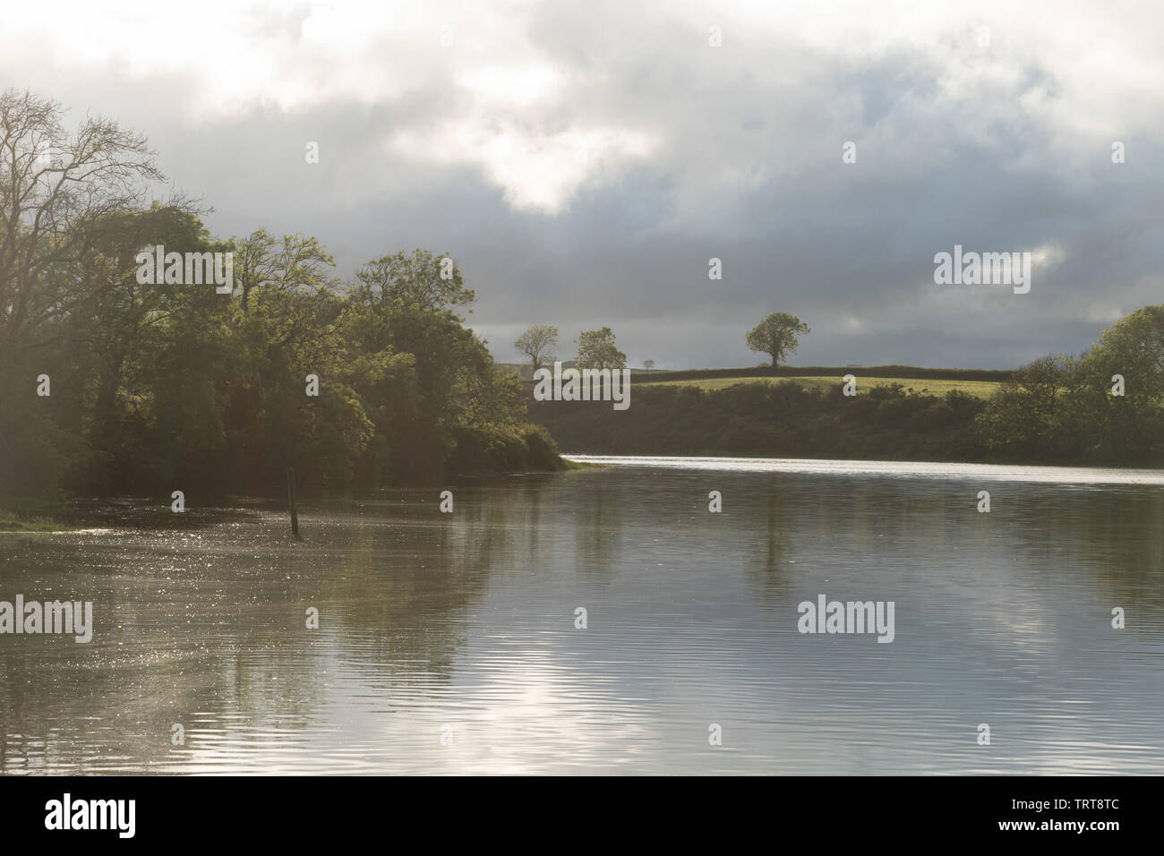 Dunstiger Blick auf den Mühlenteich an Carew Castle und Tidal Mill an einem Sommerabend, Pembrokeshire, Wales Stockfoto
