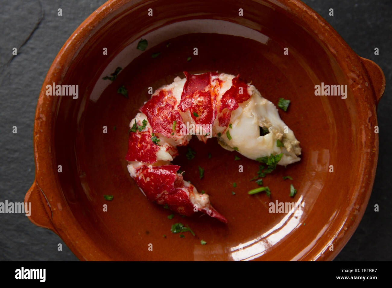 Die gekochten Heck eines gekochten Hummer Homarus gammarus, mit der Shell entfernt. Von einem Hummer in einem Topf im Englischen Kanal gefangen. Displ Stockfoto